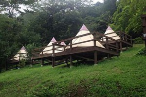 CAMP3