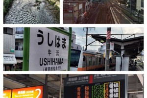 役所調査で