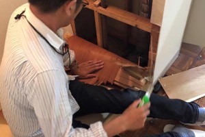 13521959_1315899258421993_5583565596447706684_n